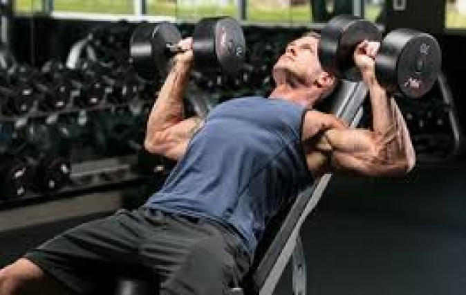 chest